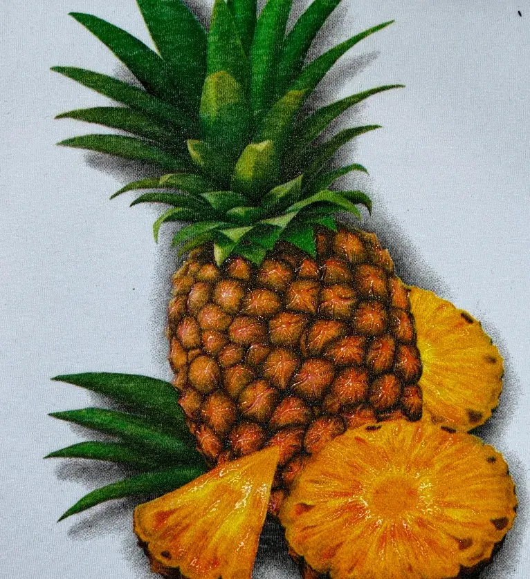 Estampa Abacaxi